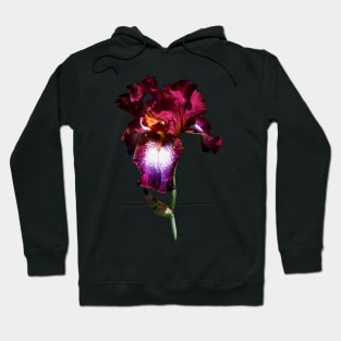 Irises - Iris Splash O' Wine Hoodie